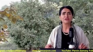 ارتباط مرگ مهسا امینی با پروژه زنگه زور و برنامه تجزیه ایران – پروین زمانی