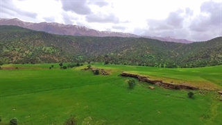 زیبا چهارمحالی