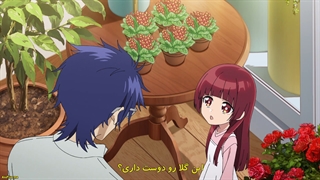 انیمه راهنمایی یاکوزا برای نگهداری کودکان | Kumichou Musume to Sewagakari - قسمت دوازدهم 12 (آخر) با زیرنویس فارسی