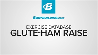 بلند کردن باسن با میله Glute-Ham Raise