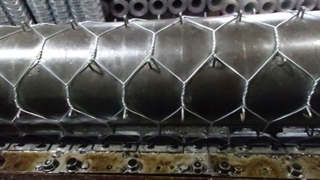 توری گابیون با چشمه 10*8 "سیم تک"