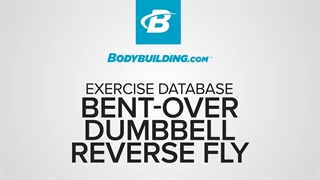 صلیب دمبل نشسته خم شده Bent-Over Dumbbell Reverse Fly