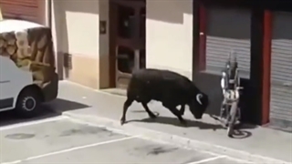 کاکا مهندس پارت۴ موتور من