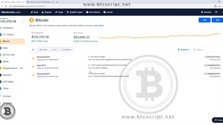 Unconfirmed Transactions Script - بیتکوین | btcscript.net