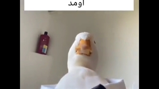 یه پیام هست که باید بشنوی