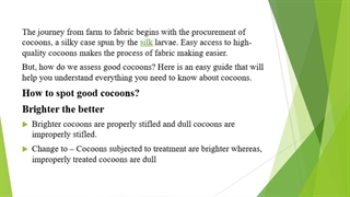 A to Z of cocoons: All you need to know- ReshaMandi