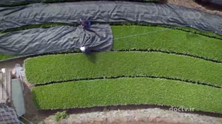 مستند ژاپن بین زمین و آسمان قسمت ۳ آخر