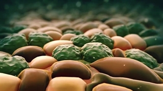 انیمیشن ژنتیک - سرطان+ پکیج ژنتیک کنکور: 09044686613