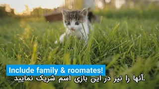 چطور اسم گربه را به او آموزش دهیم؟