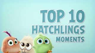 بامزه ترین لحظات بچه پرنده های خشمگین