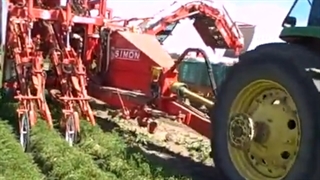 دستگاه برداشت هویج-شرکت جاوید کشت لیزری