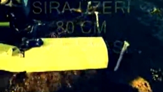 انواع علف زن باغی Yuksan ترکیه- شرکت جاوید کشت لیزری