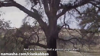 استاد فقید محمدرضا شجریان مستند صدای خس و خاشاک The sound of dust & ashes