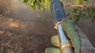 لانس تارال ترک