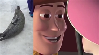 باز، یه اسباب بازی پرواز نیست!