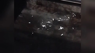 ساخت جارو برقی _شارژی_با کمترین هزینه