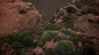 مفهوم موسیقی در سینمایی استالکر stalker