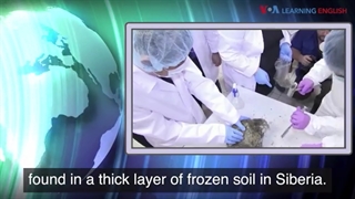 اخبار انگلیسی (39)