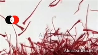 خشک کردن زعفران - فروش زعفران