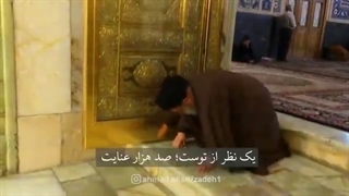 امام رئوف(ع)