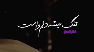 تنگ میشه دلم واست....