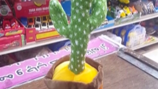 خرید اسباب بازی کاکتوس سخنگو شارژی لباس دار به قیمت عالی - تضمینی سالم بی ایراد