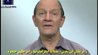 آناتومی حنجره و ساختارهای مرتبط با آن آکلند دوبله فارسی