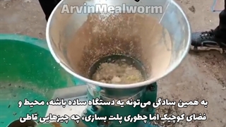 پلت حشرات غذای پلت مرغ مینا و پرندگان