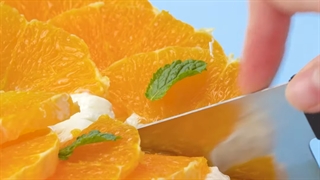 طرز تهیه 18 مدل کیک خوشمزه