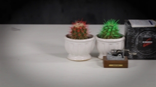 انباکسینگ (جعبه گشایی) ساعت مچی مردانه و زنانه کاسیو جی شاک, کد GM-5600SG-9DR02