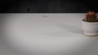 انباکسینگ (جعبه گشایی) ساعت مچی زنانه کاسیو, کد LTP-1335D-7AVDF