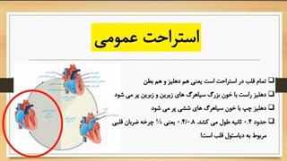 تدریس خیلی مفهومی چرخه ضربان قلب + 09044686613 تدریس خصوصی زیست