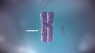 از DNA تا پروتئین