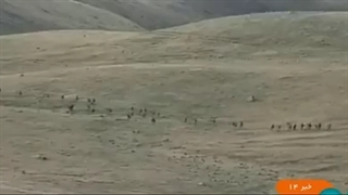 باکو در مرز ایران و ارمنستان دنبال چیست؟