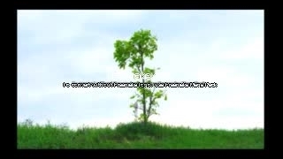 ویدیو جلسه سوم