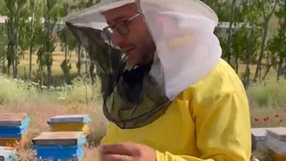 زل رویال چگونه تولید می‌شود؟