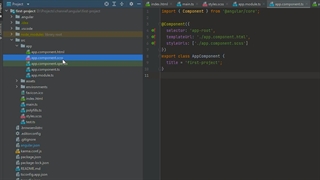 #4 آموزش انگولار: عملکرد کامپوننت ها در انگولار - Angular Programming: Angular Component