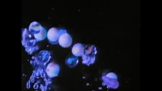 Suzanne Vega, DNA - Tom's Diner