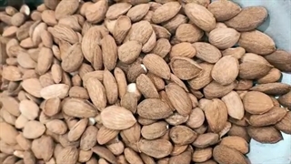 نمای نزدیک مغز بادام خام ایرانی