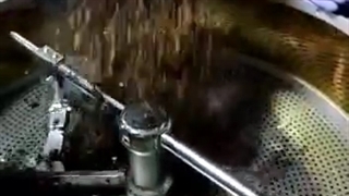 قهوه روبوستا ویتنام