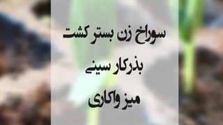 تجهیزات بانک نشا تیداپارس-خط کامل بذرکار سینی نشا تمام اتوماتیک