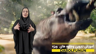 تدوین وجلوه های ویژه