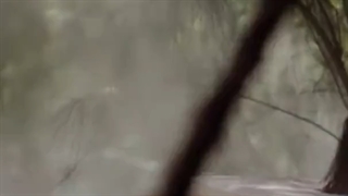 ست_کنید|ست شد