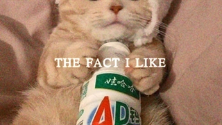 ساخت خودم :] 