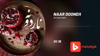 علی زند وکیلی آهنگ ناردونه