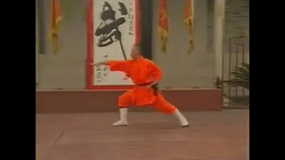 آموزش فرم مشت شائولین گواندونگ