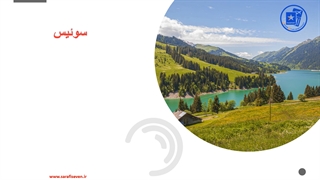 گروه مهاجرتی سون استار