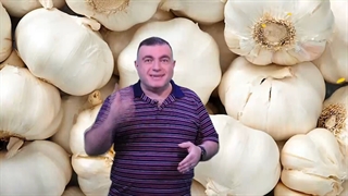 رابطه مستقیم خوردن سیر و کاهش وزن