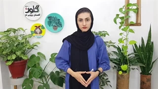 سبزی کاری در گلدان