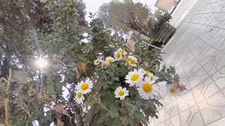 حیاط دانشگاه بنت الهدی صدر فردوس